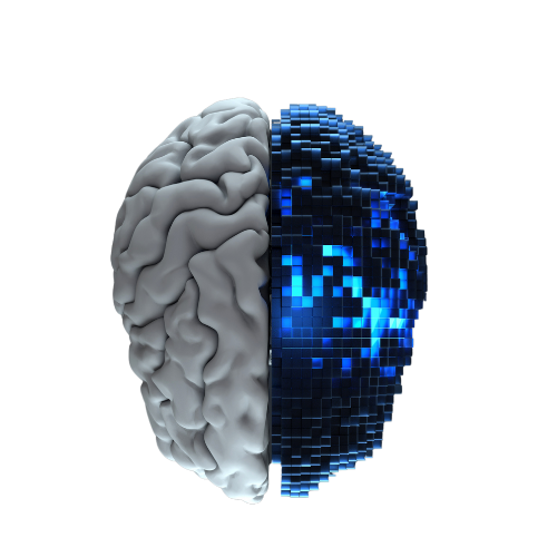 Ilustração da jornada da equipa iTRTech